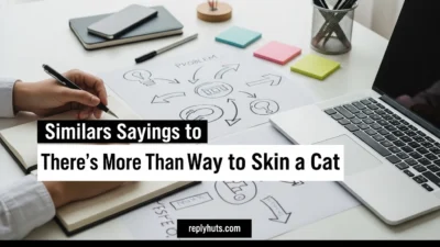 Similar Sayings to There’s More Than One Way to Skin a Cat